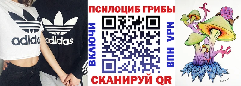 Галлюциногенные грибы MAGIC MUSHROOMS  мега ONION  Александровское 